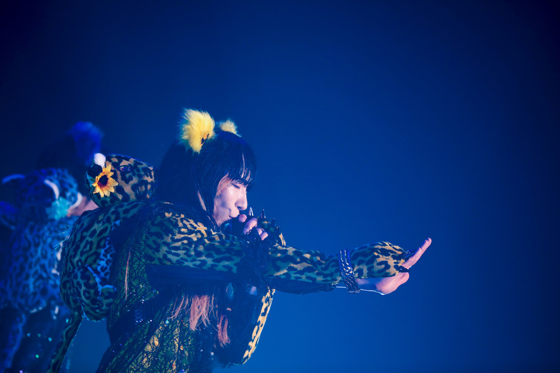 ぺいにゃむにゃむ＜ゲイでもアイドルになれる！ in Zepp Tokyo＞｜Zepp Tokyo（2019年7月14日）