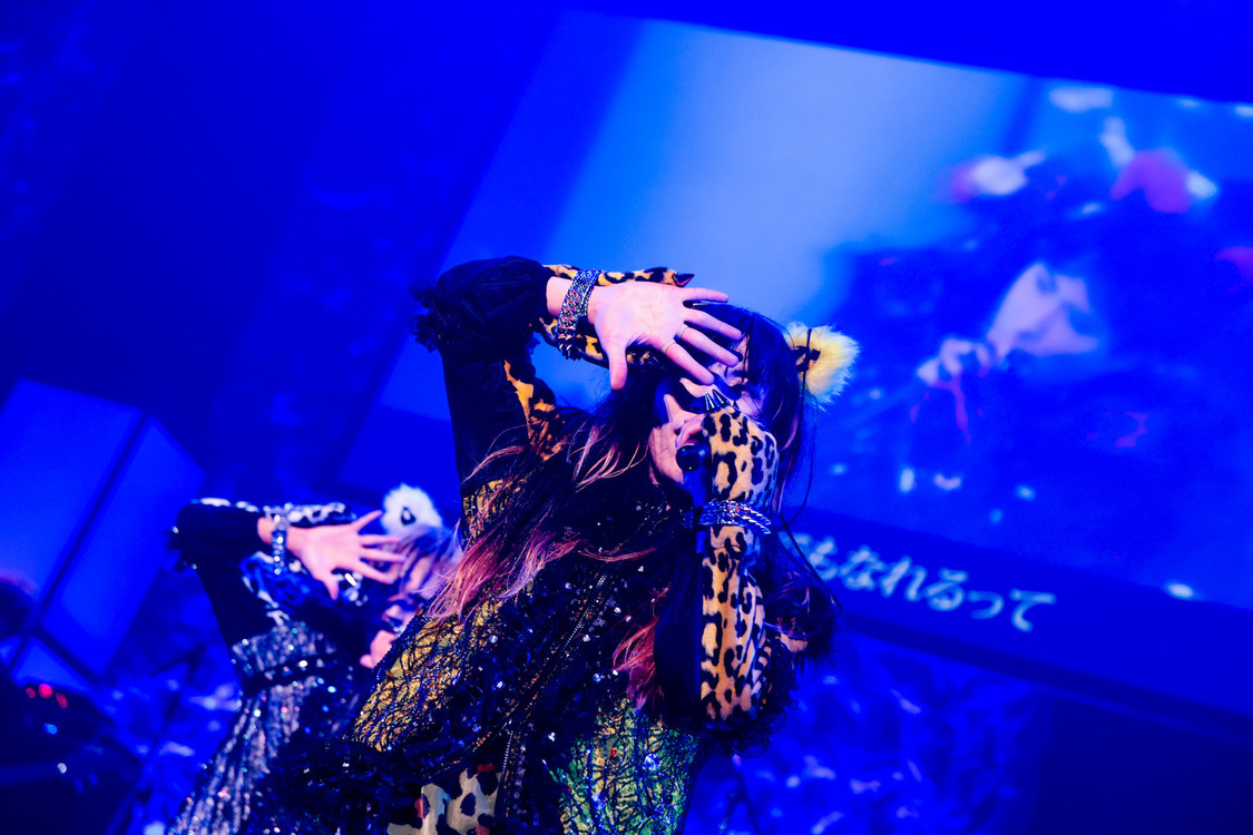 ぺいにゃむにゃむ＜ゲイでもアイドルになれる！ in Zepp Tokyo＞｜Zepp Tokyo（2019年7月14日）