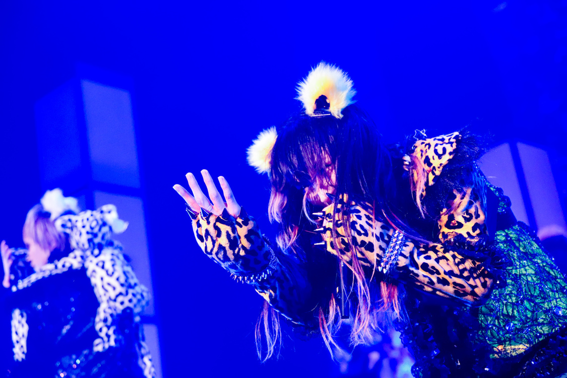 ぺいにゃむにゃむ＜ゲイでもアイドルになれる！ in Zepp Tokyo＞｜Zepp Tokyo（2019年7月14日）