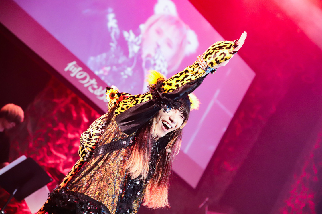 ぺいにゃむにゃむ＜ゲイでもアイドルになれる！ in Zepp Tokyo＞｜Zepp Tokyo（2019年7月14日）