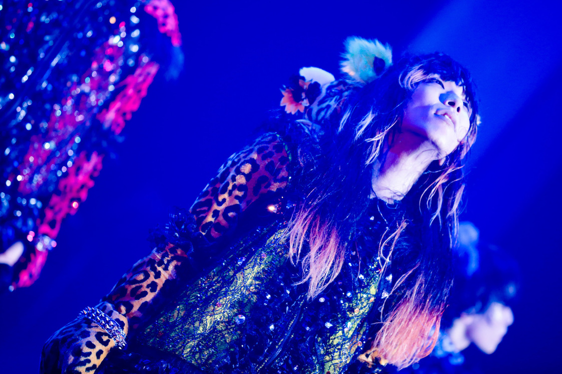 ぺいにゃむにゃむ＜ゲイでもアイドルになれる！ in Zepp Tokyo＞｜Zepp Tokyo（2019年7月14日）