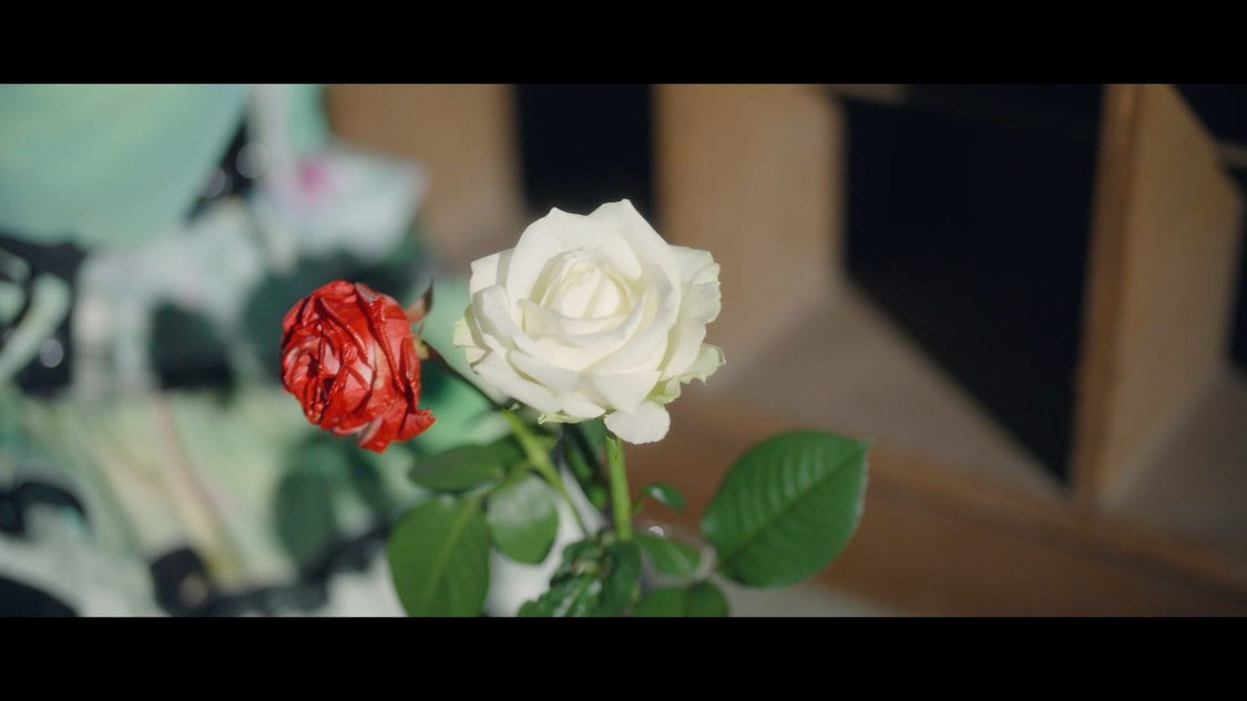 MAD MEDiCiNE「アリス心中」MV