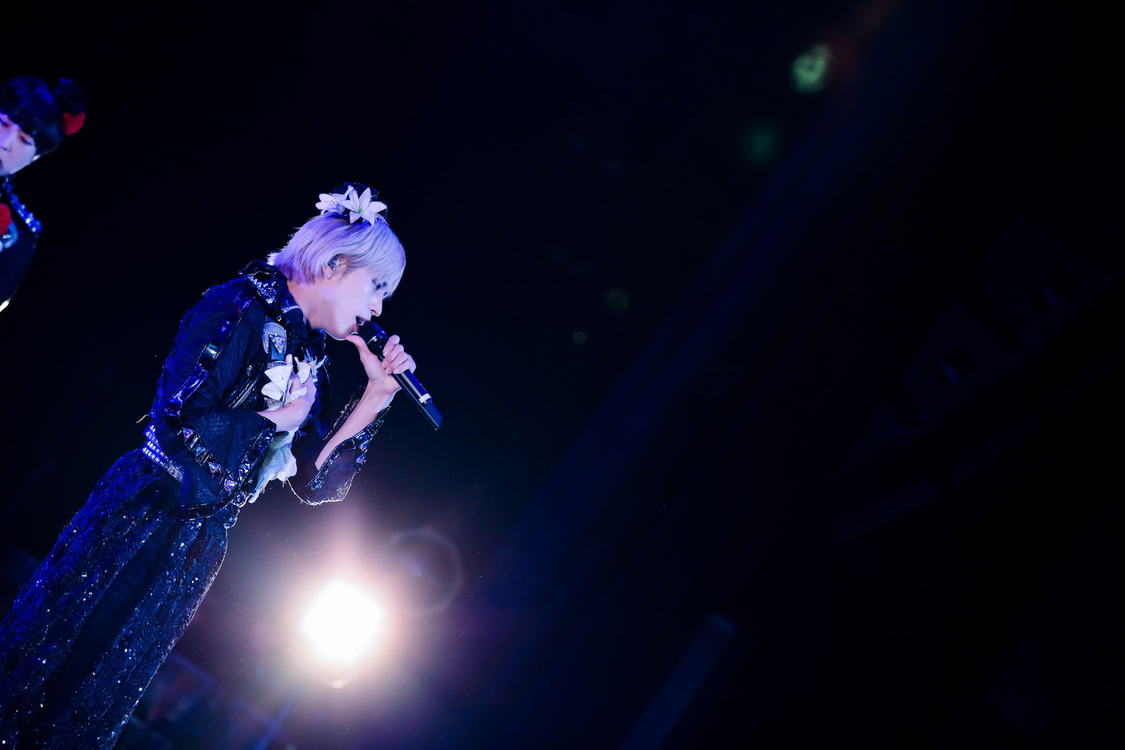 白鳥白鳥＜ゲイでもアイドルになれる！ in Zepp Tokyo＞｜Zepp Tokyo（2019年7月14日）