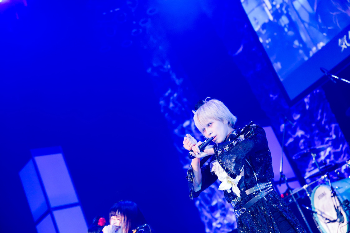 白鳥白鳥＜ゲイでもアイドルになれる！ in Zepp Tokyo＞｜Zepp Tokyo（2019年7月14日）