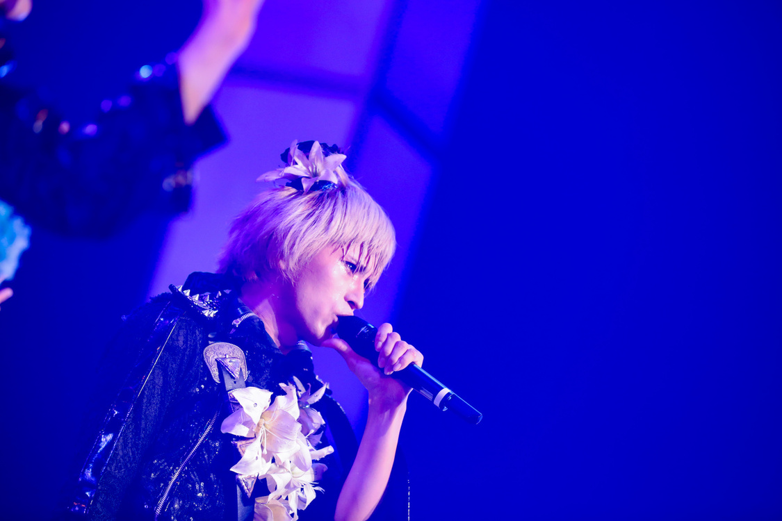 白鳥白鳥＜ゲイでもアイドルになれる！ in Zepp Tokyo＞｜Zepp Tokyo（2019年7月14日）