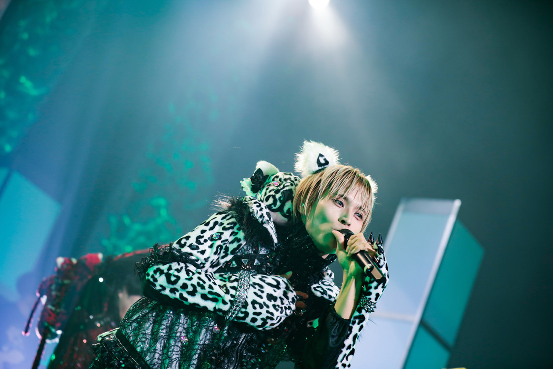 白鳥白鳥＜ゲイでもアイドルになれる！ in Zepp Tokyo＞｜Zepp Tokyo（2019年7月14日）