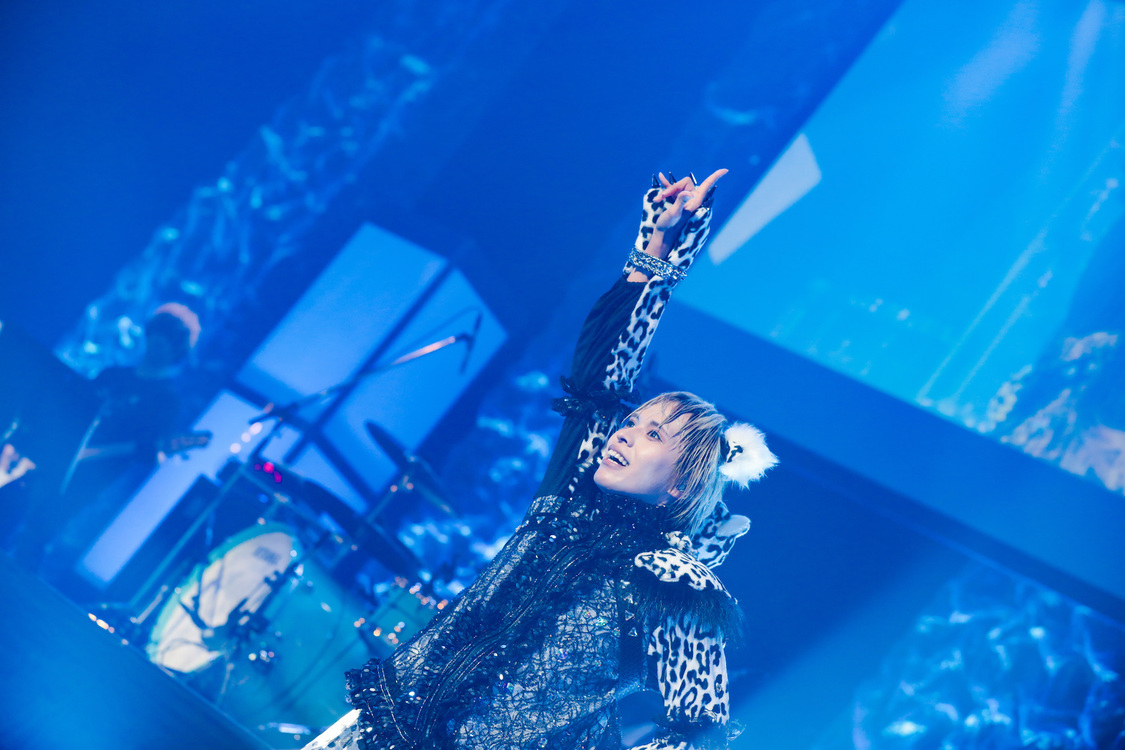 白鳥白鳥＜ゲイでもアイドルになれる！ in Zepp Tokyo＞｜Zepp Tokyo（2019年7月14日）