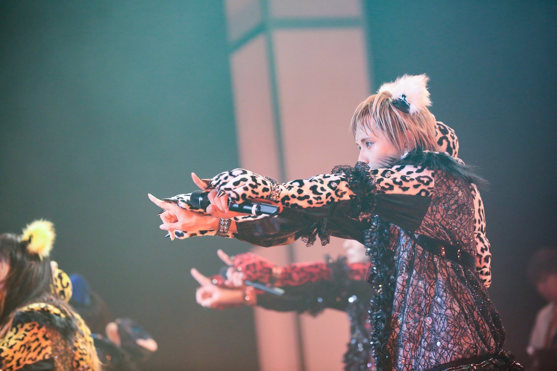 白鳥白鳥＜ゲイでもアイドルになれる！ in Zepp Tokyo＞｜Zepp Tokyo（2019年7月14日）