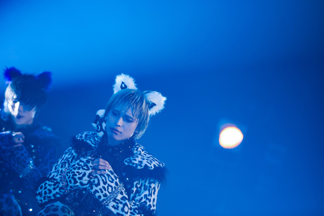 白鳥白鳥＜ゲイでもアイドルになれる！ in Zepp Tokyo＞｜Zepp Tokyo（2019年7月14日）