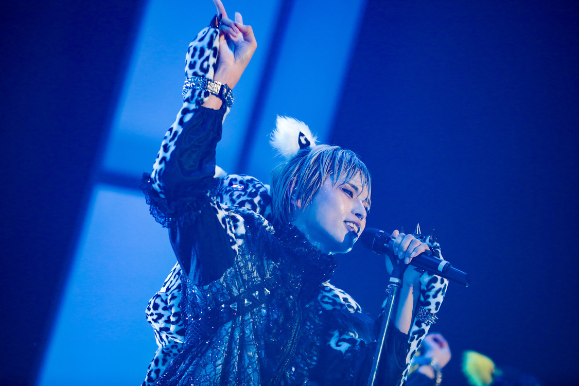 白鳥白鳥＜ゲイでもアイドルになれる！ in Zepp Tokyo＞｜Zepp Tokyo（2019年7月14日）