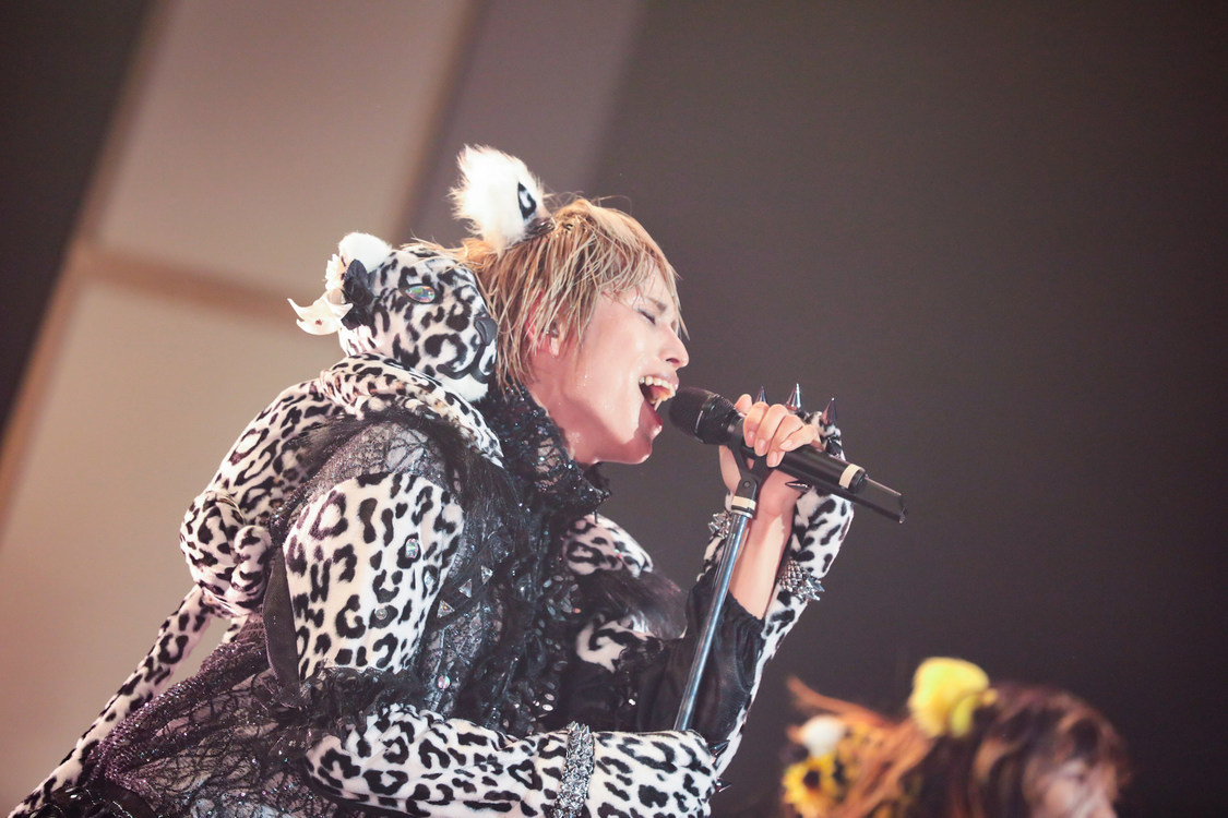 白鳥白鳥＜ゲイでもアイドルになれる！ in Zepp Tokyo＞｜Zepp Tokyo（2019年7月14日）