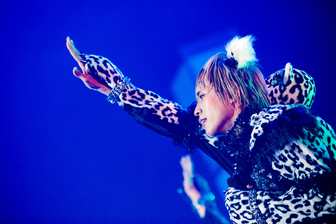 白鳥白鳥＜ゲイでもアイドルになれる！ in Zepp Tokyo＞｜Zepp Tokyo（2019年7月14日）