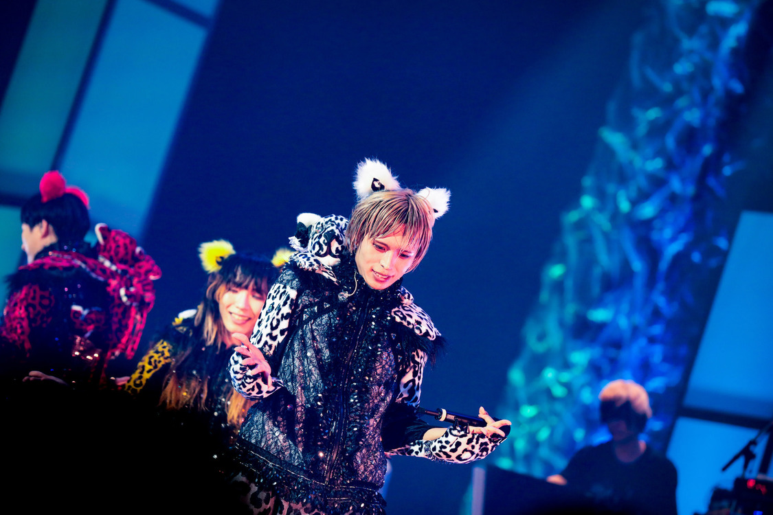 白鳥白鳥＜ゲイでもアイドルになれる！ in Zepp Tokyo＞｜Zepp Tokyo（2019年7月14日）