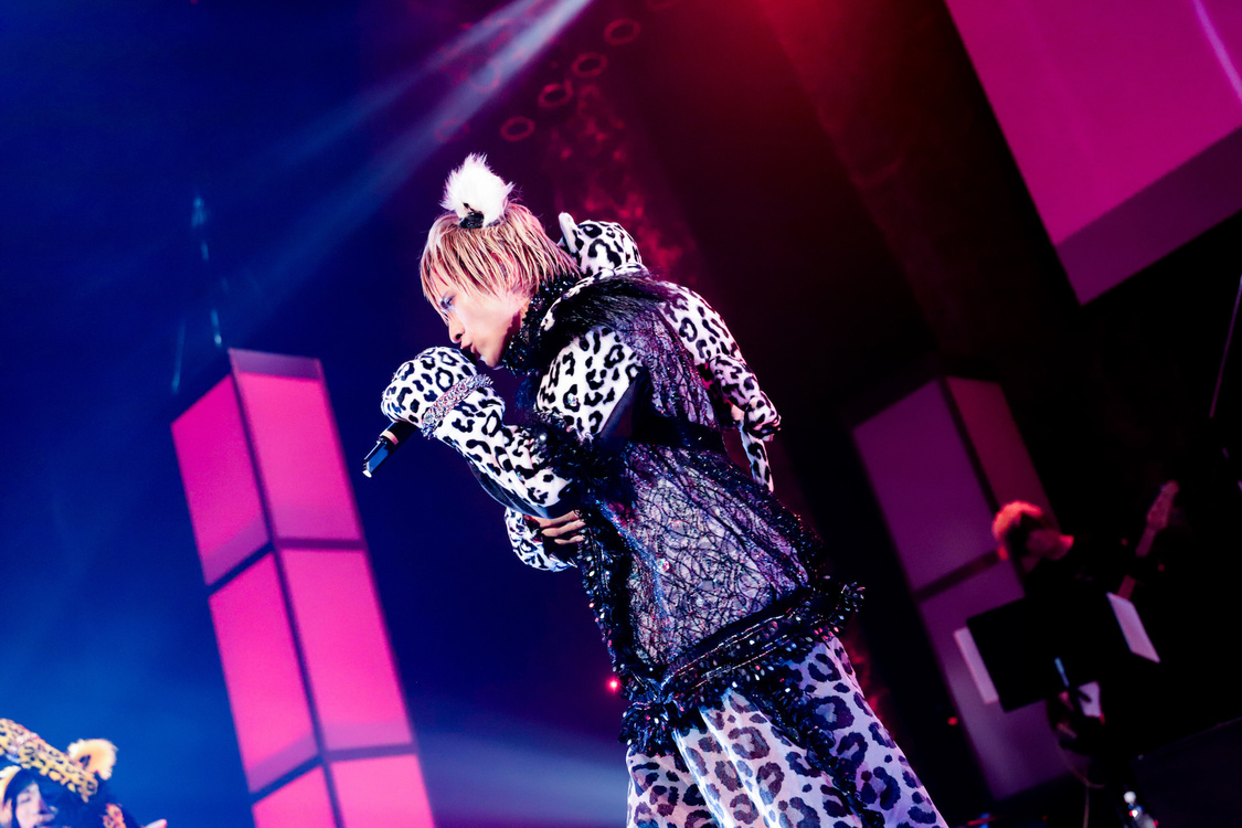 白鳥白鳥＜ゲイでもアイドルになれる！ in Zepp Tokyo＞｜Zepp Tokyo（2019年7月14日）