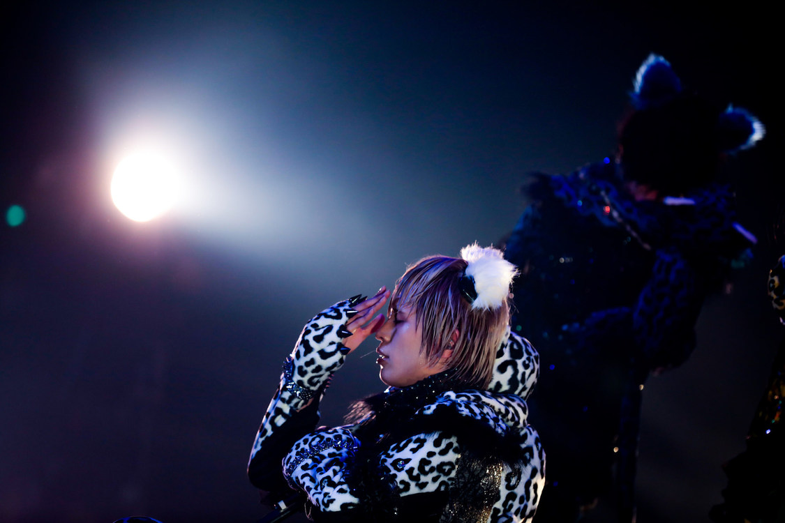 白鳥白鳥＜ゲイでもアイドルになれる！ in Zepp Tokyo＞｜Zepp Tokyo（2019年7月14日）