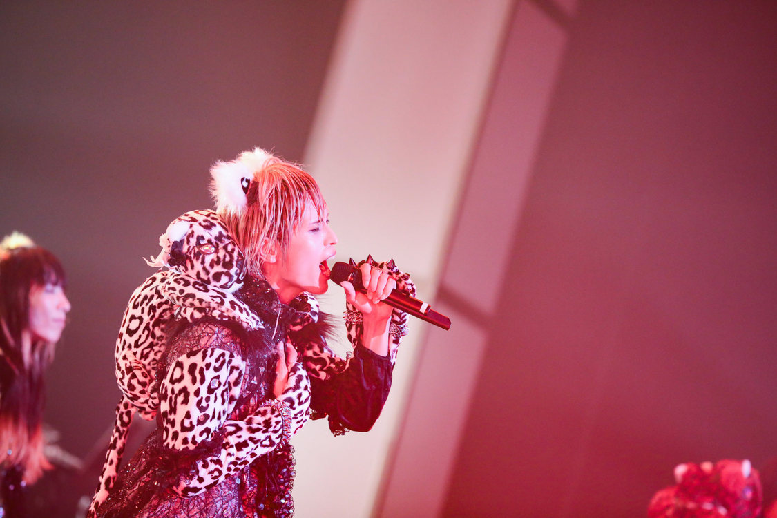 白鳥白鳥＜ゲイでもアイドルになれる！ in Zepp Tokyo＞｜Zepp Tokyo（2019年7月14日）