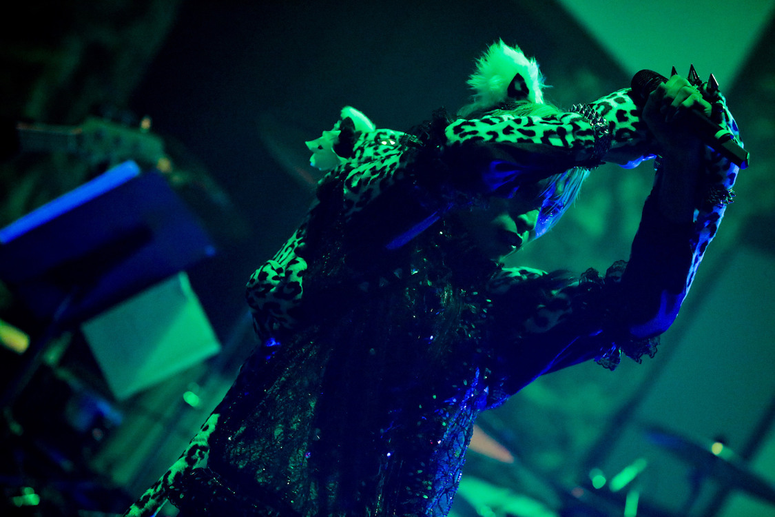 白鳥白鳥＜ゲイでもアイドルになれる！ in Zepp Tokyo＞｜Zepp Tokyo（2019年7月14日）