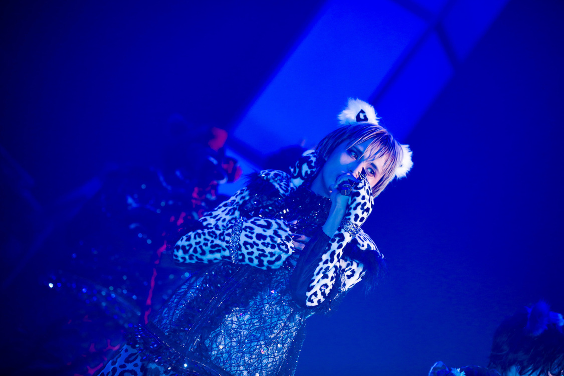 白鳥白鳥＜ゲイでもアイドルになれる！ in Zepp Tokyo＞｜Zepp Tokyo（2019年7月14日）