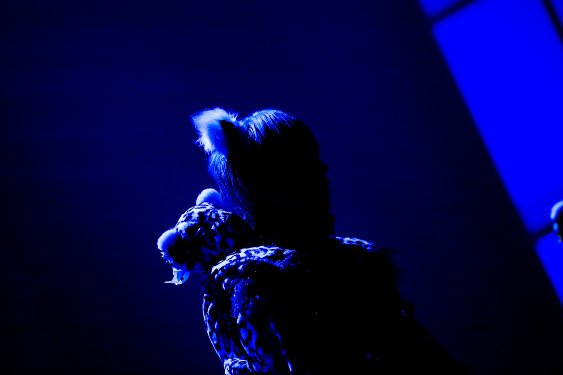 白鳥白鳥＜ゲイでもアイドルになれる！ in Zepp Tokyo＞｜Zepp Tokyo（2019年7月14日）