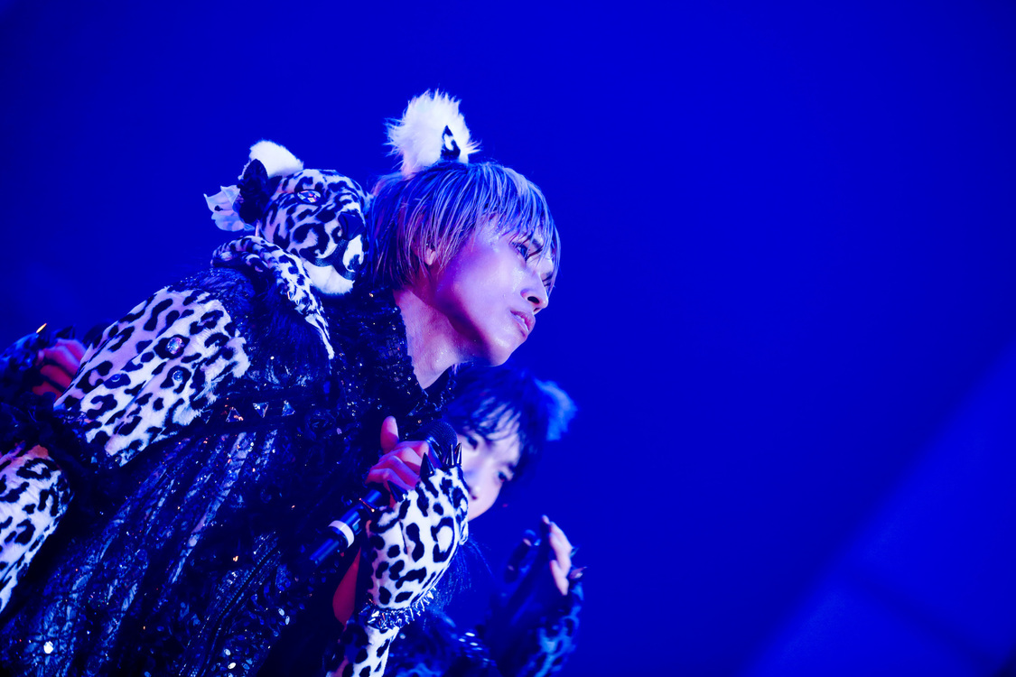 白鳥白鳥＜ゲイでもアイドルになれる！ in Zepp Tokyo＞｜Zepp Tokyo（2019年7月14日）