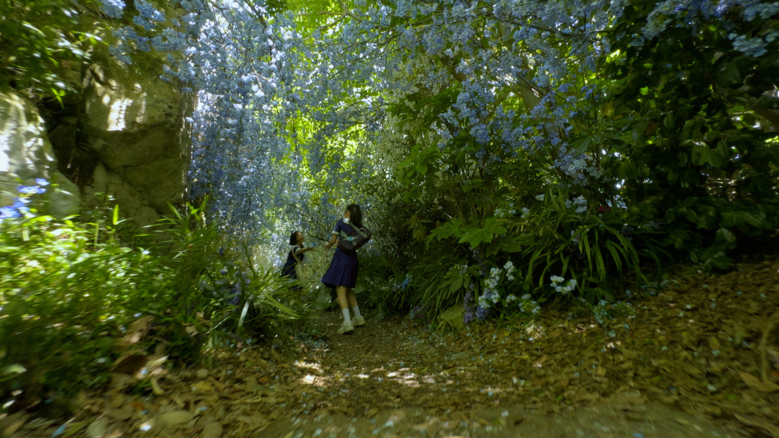 『ポカリスエット』新TV-CM「潜在能力は君の中。」篇場面写真