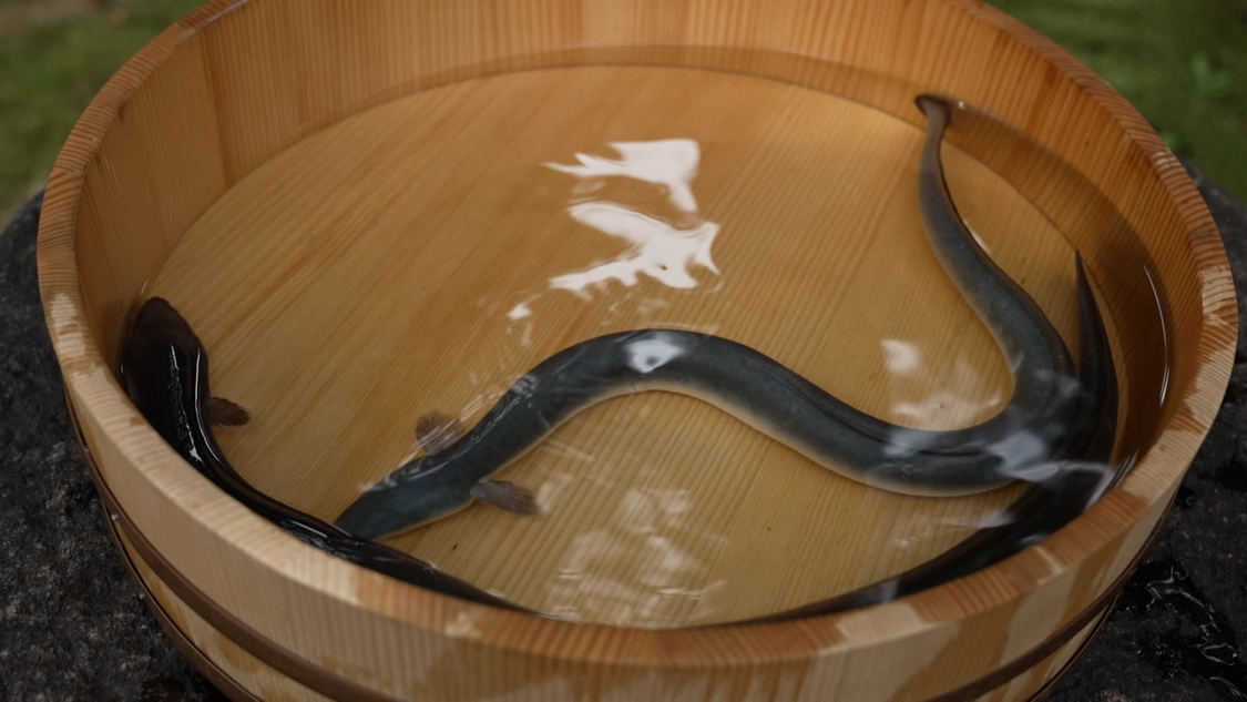 『ももフラ＋ NO RULEコラボ』8月4日放送回