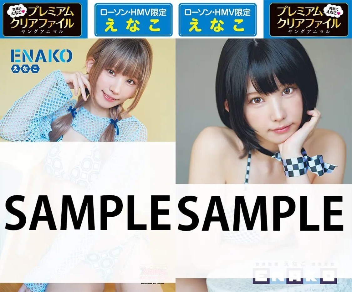 『ヤングアニマル』2024年16号　ローソン&HMV限定プレミアムクリアファイル特典①