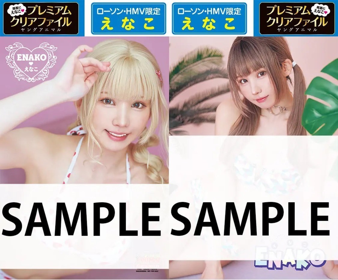 『ヤングアニマル』2024年16号　ローソン&HMV限定プレミアムクリアファイル特典②