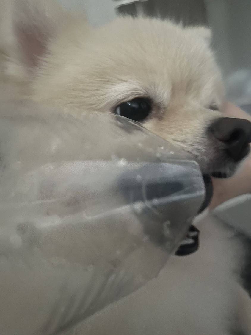 お気に入りのペットボトルを見せてくれるきなちゃん