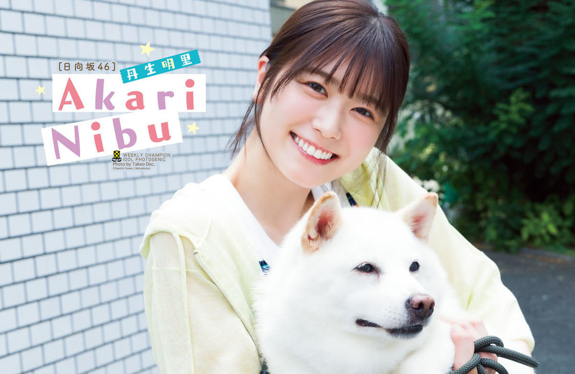 丹生明里『週刊少年チャンピオン』41号（Ⓒ秋田書店 ⒸSeed &Flower ⒸTakeo Dec.（秋田書店））