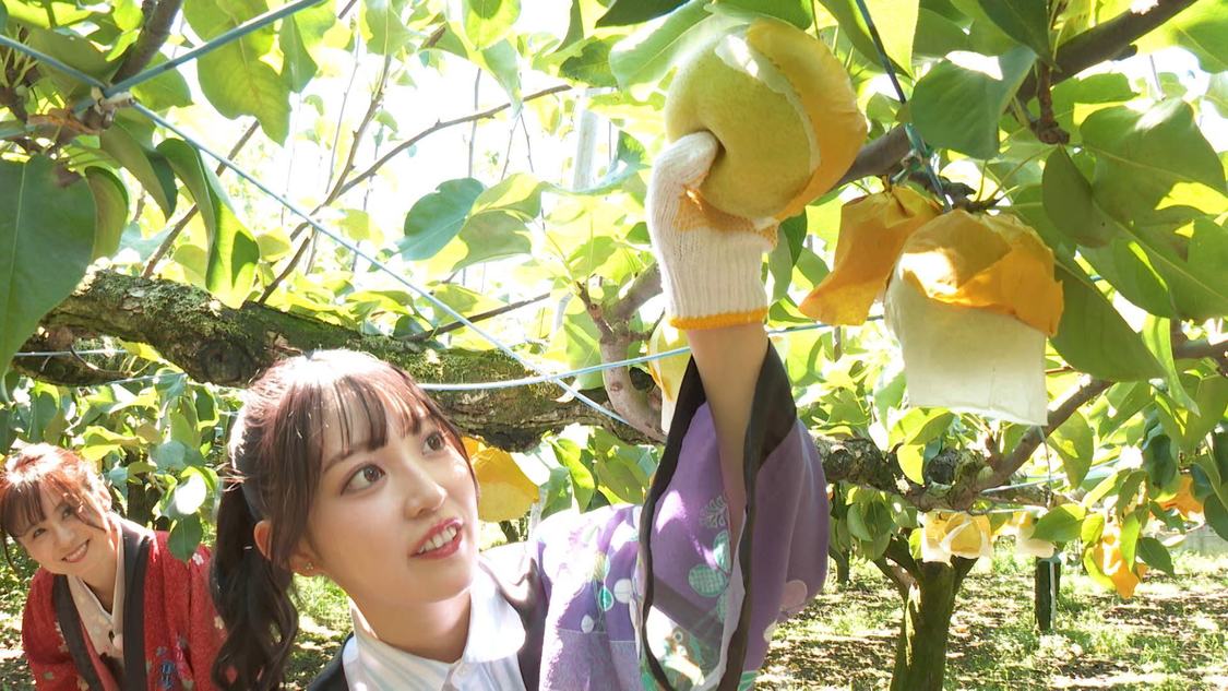 『ぐるり東京 江戸散歩』9/14放送回