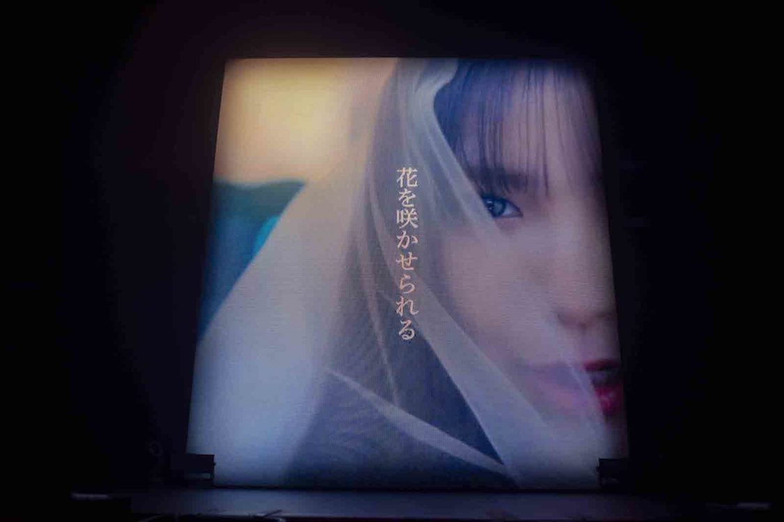 ＜AMEFURASSHI Live “Flora” chapter two＞LINE CUBE SHIBUYA（2024年9月16日／©️Masato Yokoyama）