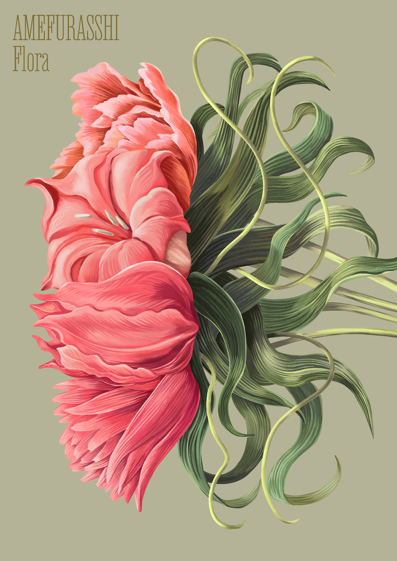 AMEFURASSHI 4thアルバム『Flora』豪華盤