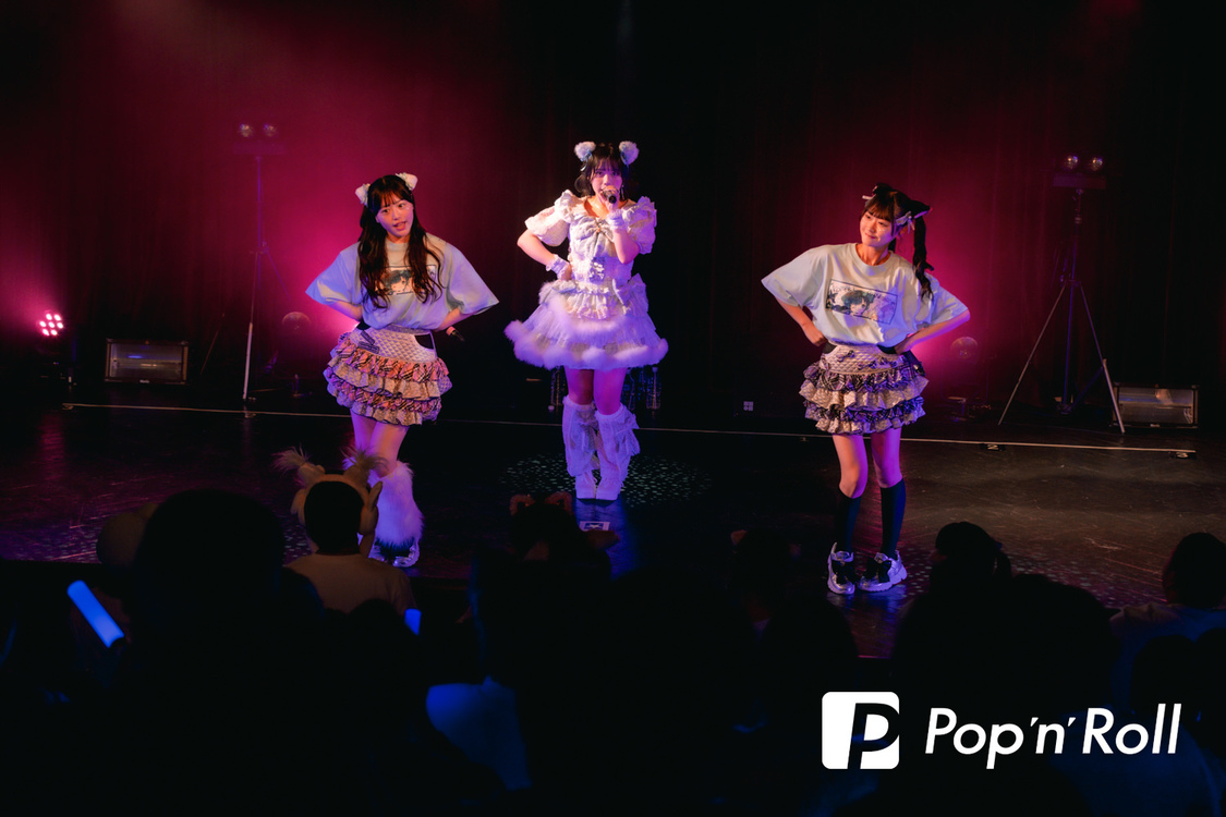 ＜峰島こまき生誕祭＞渋谷WWW（2024年11月17日）