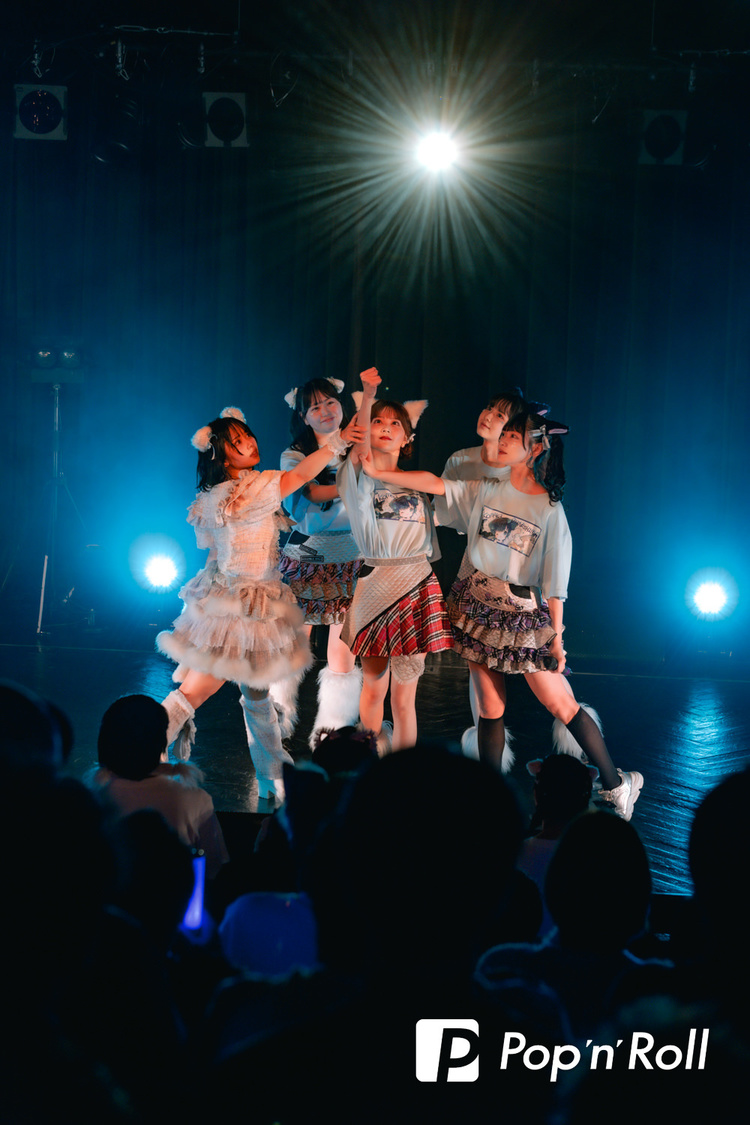 ＜峰島こまき生誕祭＞渋谷WWW（2024年11月17日）