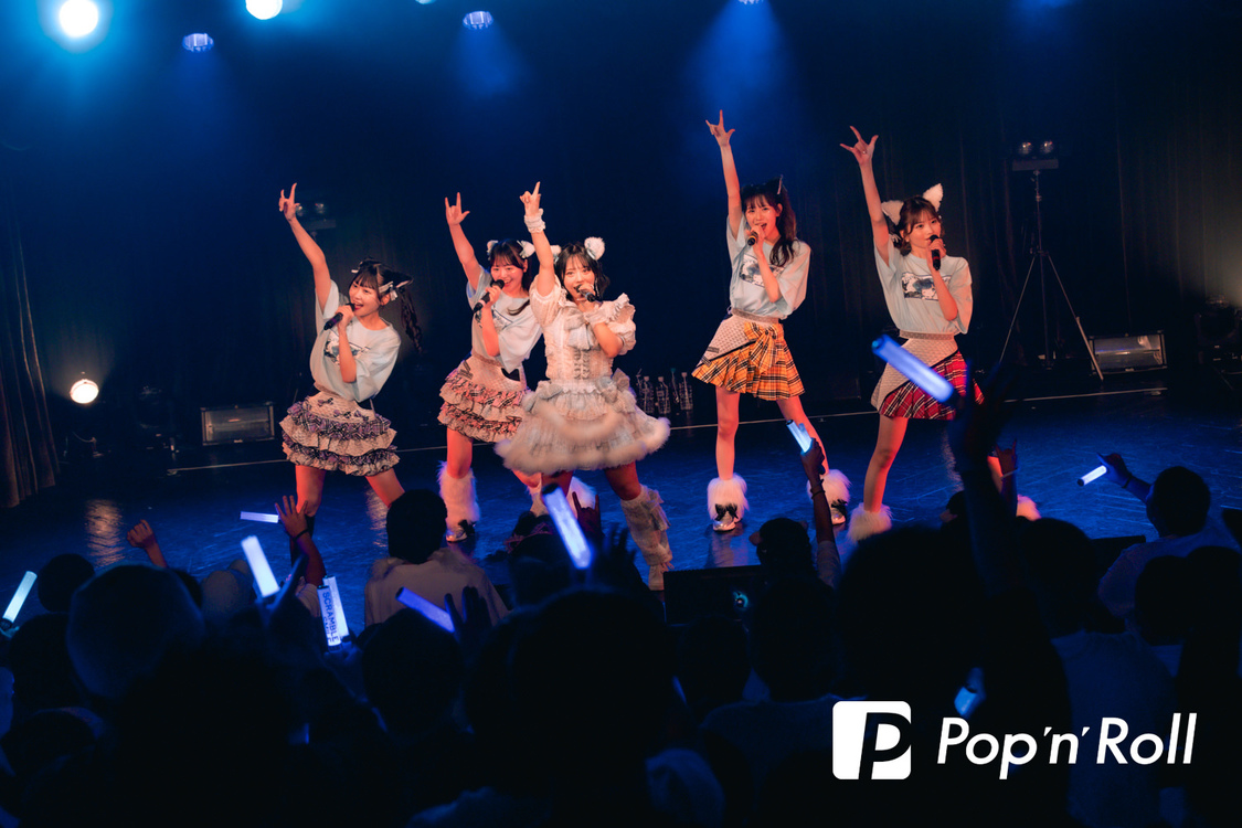 ＜峰島こまき生誕祭＞渋谷WWW（2024年11月17日）