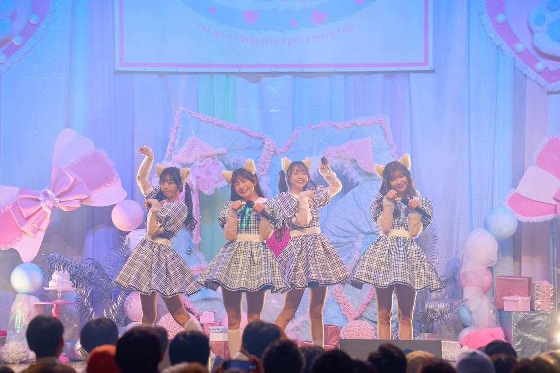 ＜にゃんぽこらフェス！＞品川ステラボール（2024年11月23日）