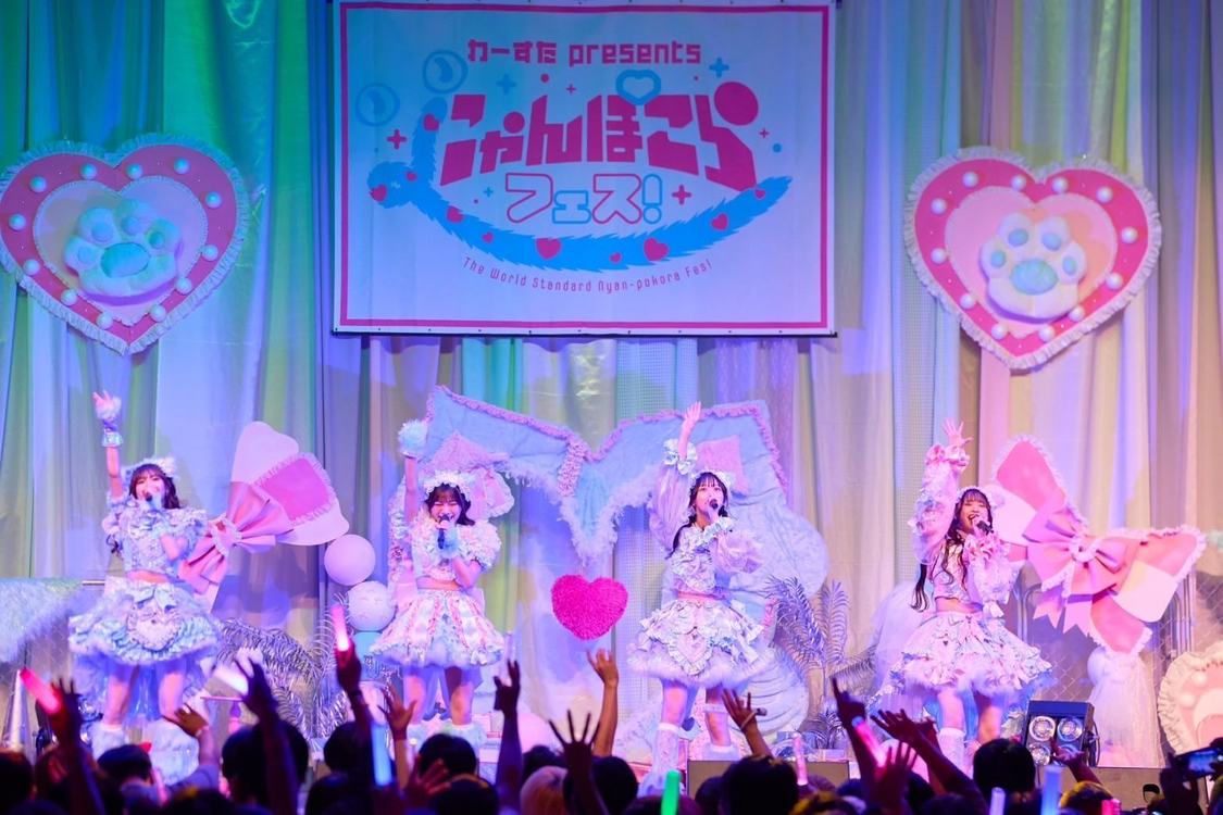 ＜にゃんぽこらフェス！＞品川ステラボール（2024年11月23日）