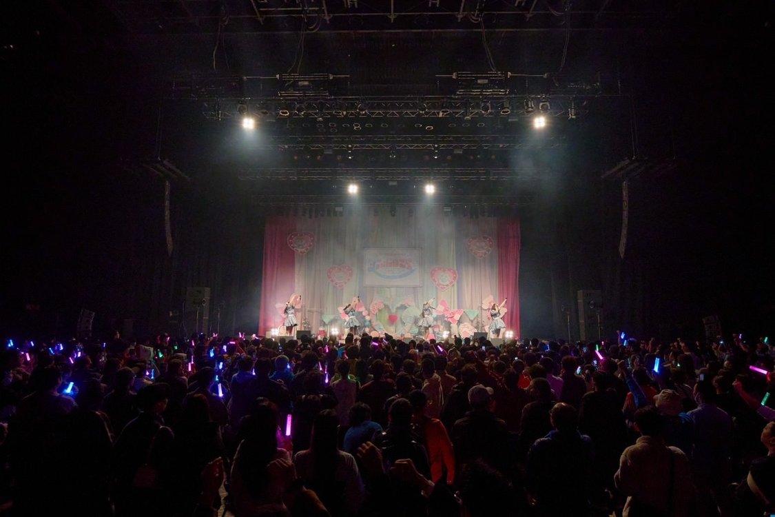 ＜にゃんぽこらフェス！＞品川ステラボール（2024年11月23日）