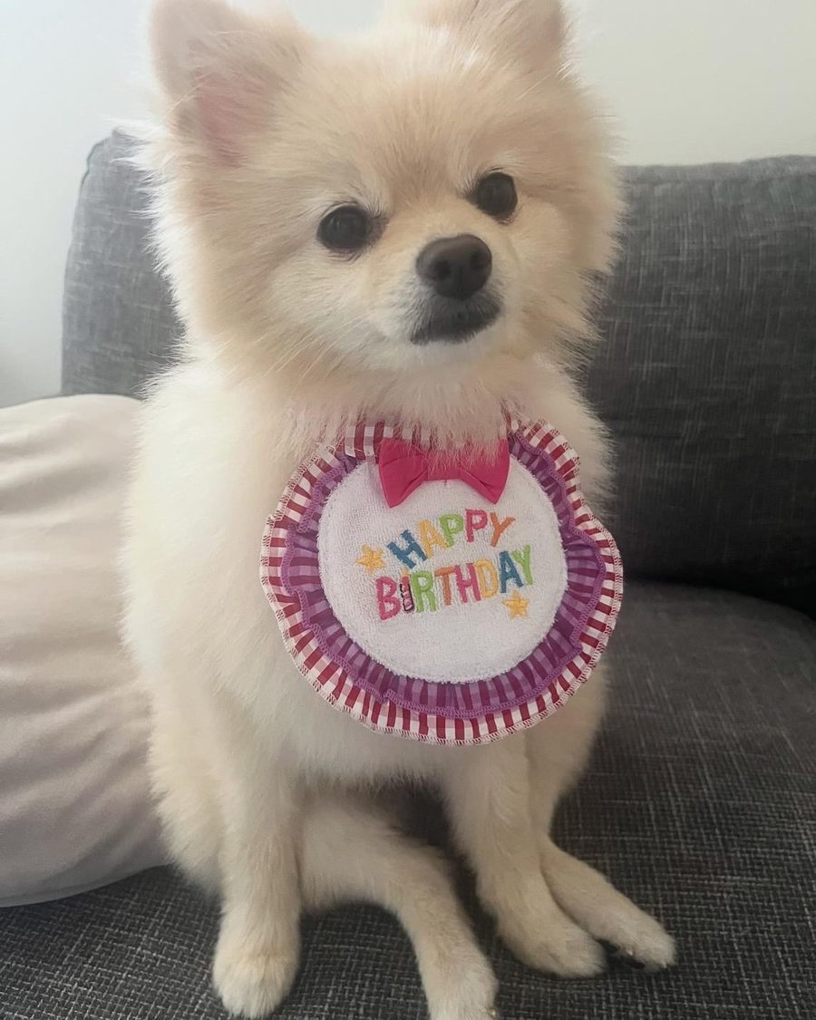 最近4歳になったきなちゃん！