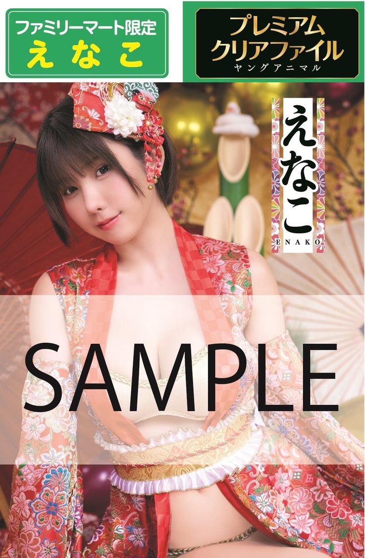 ファミリーマート限定クリアファイル②