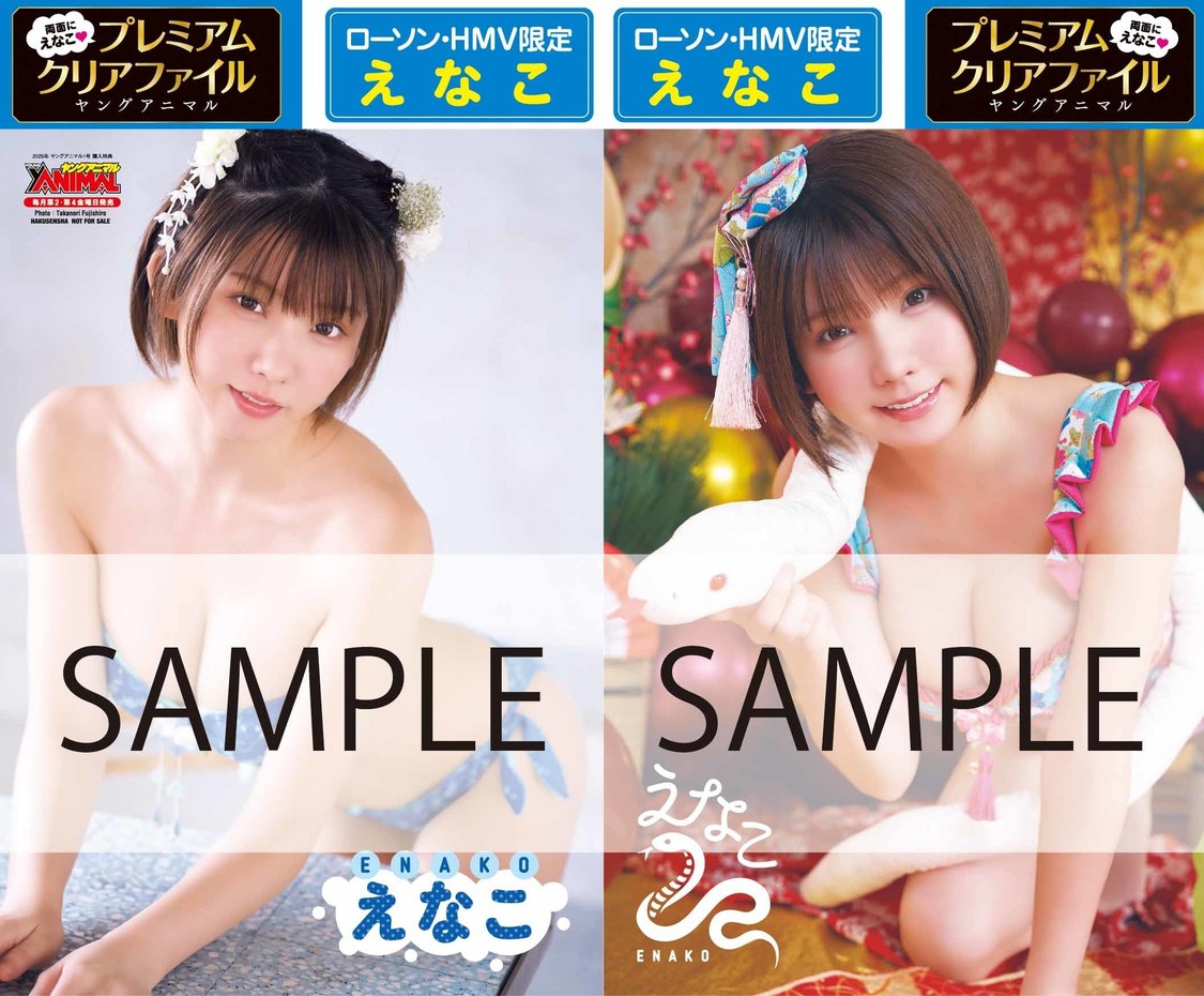 ローソン・HMV限定クリアファイル②