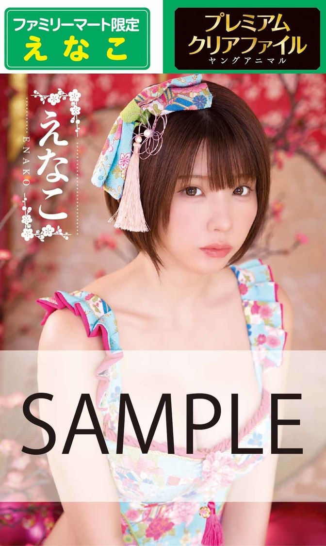 ファミリーマート限定クリアファイル①