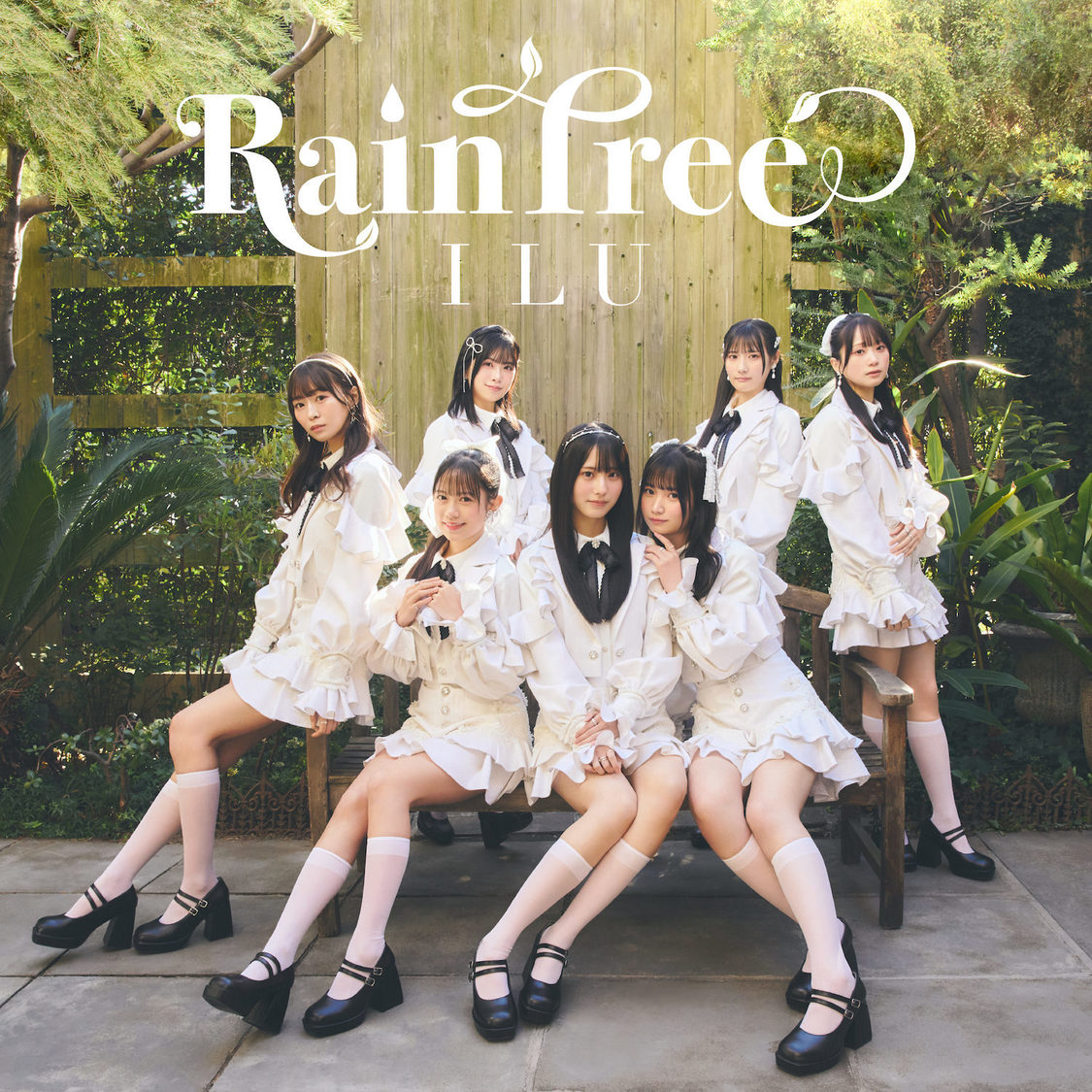 Rain Tree「Ｉ Ｌ Ｕ」（©OVERSE）