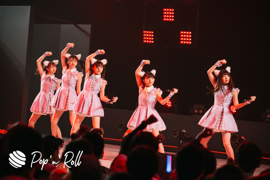 Task have Fun×わーすた ＜TOKYO IDOL FESTIVAL 2019＞｜ DOLL FACTORY（17:20-）