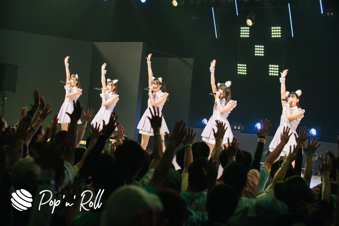 Task have Fun×わーすた ＜TOKYO IDOL FESTIVAL 2019＞｜ DOLL FACTORY（17:20-）