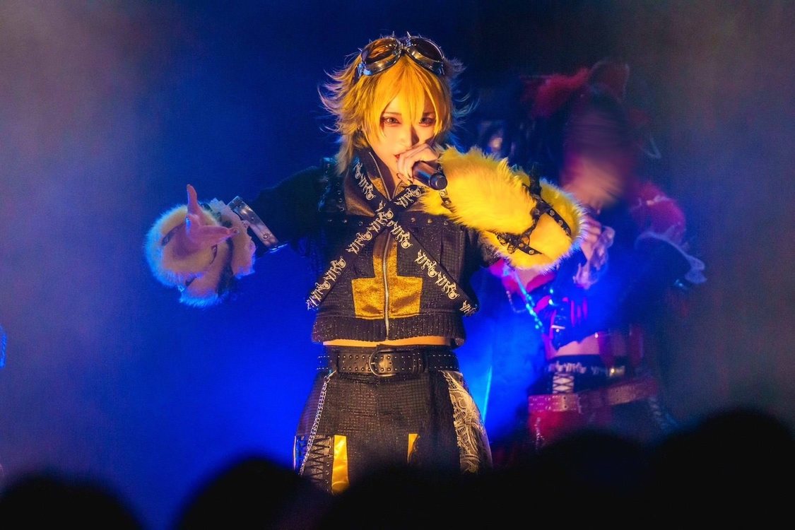 猿馬 虎＜Gauze＞WWW X（2025年1月27日）