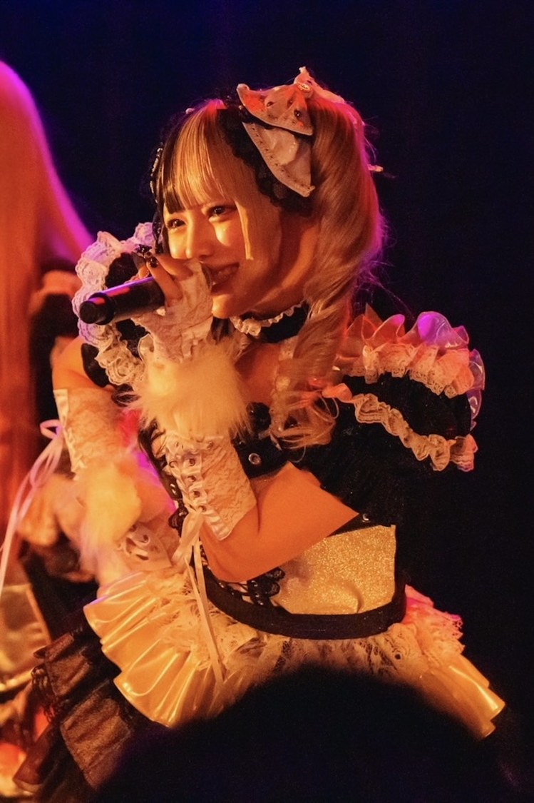 MADMED＜Gauze＞WWW X（2025年1月27日）