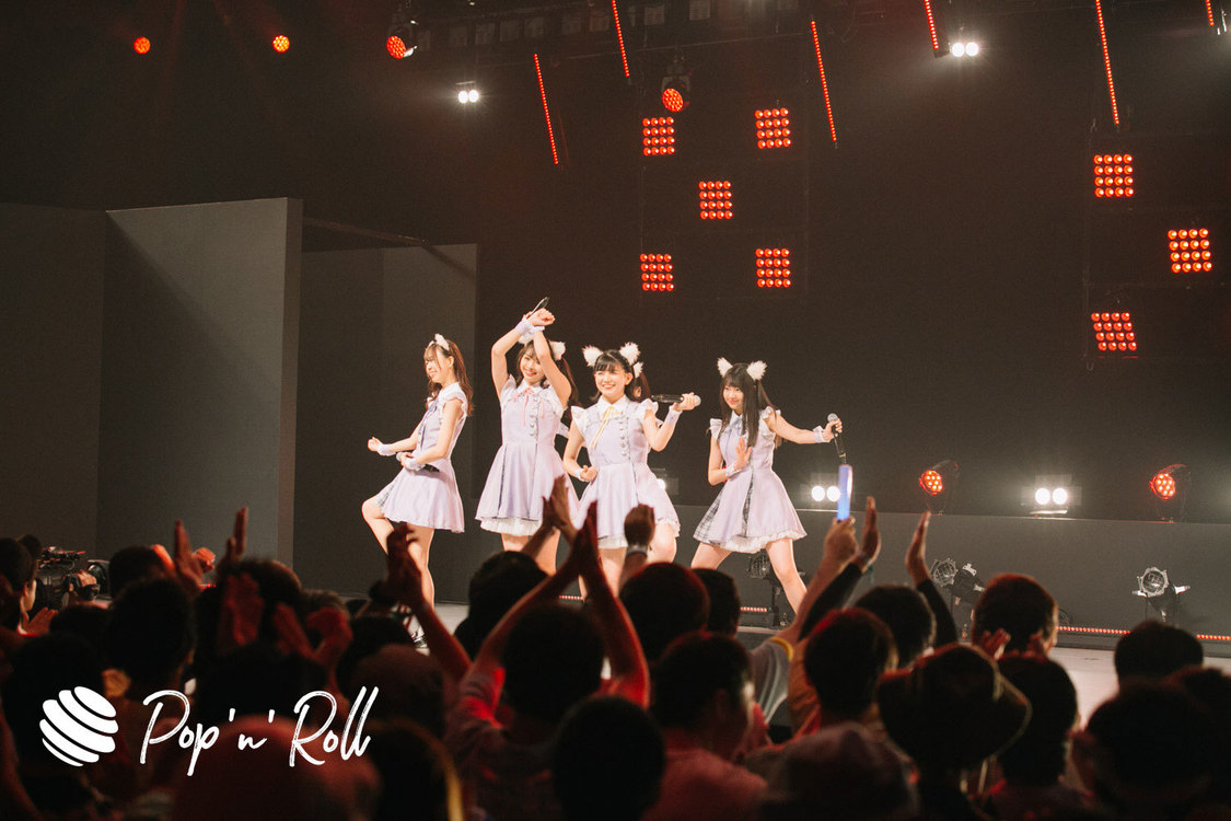 Task have Fun×わーすた ＜TOKYO IDOL FESTIVAL 2019＞｜ DOLL FACTORY（17:20-）