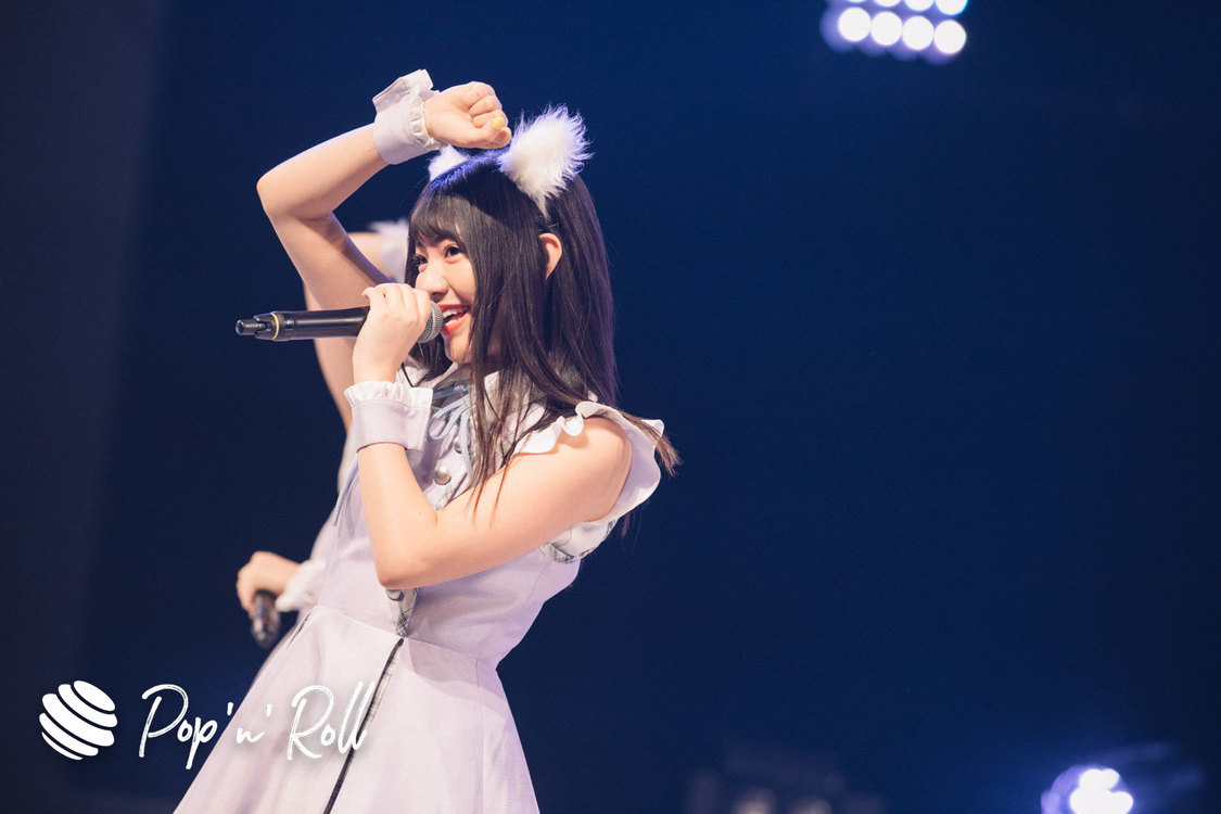 Task have Fun×わーすた ＜TOKYO IDOL FESTIVAL 2019＞｜ DOLL FACTORY（17:20-）